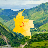 Specialty-coffee-Tolima-TropicalCoffeeClub