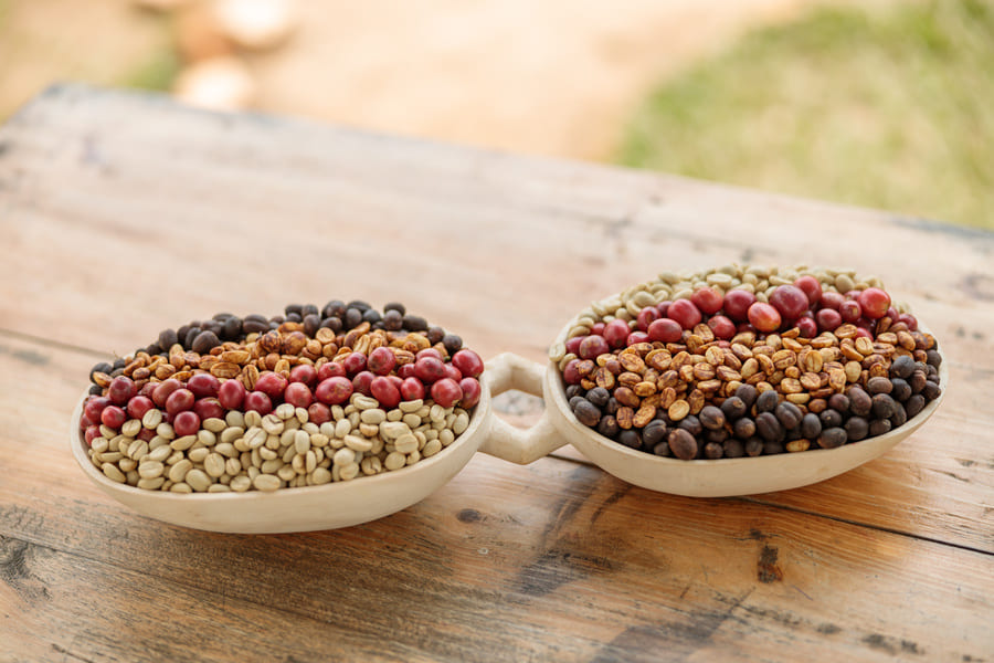 Arabica Robusta