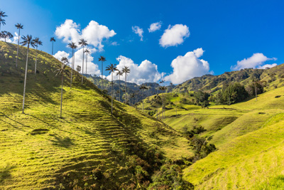 Colombian-specialty-coffee-Diverse-Microclimates